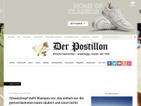 Bild zum Artikel: Schwarzkopf stellt Shampoo vor, das einfach nur die gottverdammten Haare säubert und sonst nichts