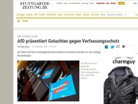 Bild zum Artikel: AfD schlägt zurück: AfD präsentiert Gutachten gegen Verfassungsschutz