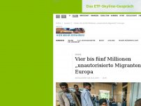 Bild zum Artikel: Studie: Vier bis fünf Millionen „unautorisierte Migranten“ in Europa