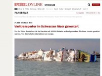 Bild zum Artikel: 14.000 Schafe an Bord: Viehtransporter im Schwarzen Meer gekentert