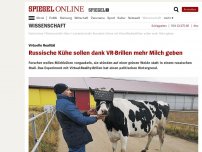 Bild zum Artikel: Virtuelle Realität: Russische Kühe sollen dank VR-Brillen mehr Milch geben