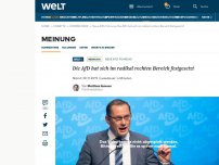 Bild zum Artikel: Die AfD hat sich im radikal rechten Bereich festgesetzt