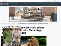 Bild zum Artikel: Fürstenzell: Mann wirft Hund seiner Freundin aus 3. Stock - Tier erliegt seinen Verletzungen