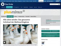 Bild zum Artikel: Das grausame Schicksal der Weihnachtsgans