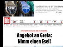 Bild zum Artikel: Umweltfreundlich zum Klimagipfel - Angebot an Greta: Nimm einen Esel!