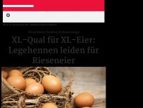 Bild zum Artikel: Kein Licht und kein Futter