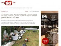 Bild zum Artikel: Afrikanische Asylwerberin verwüstet 50 Gräber – Video
