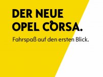 Bild zum Artikel: 16-Jährige wundert sich, dass Staatschefs im Alter von 65 bis 73 angesichts drohender Klimakatastrophe nicht in Panik geraten