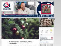 Bild zum Artikel: 25.000 Insekten krabbeln in jedem Christbaum