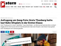 Bild zum Artikel: Bild auf 'überfülltem Zug': Aufregung um Gang-Foto: Greta Thunberg hatte laut Bahn Sitzplatz in der Ersten Klasse