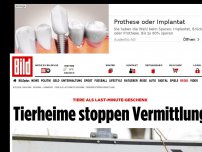 Bild zum Artikel: Tiere als Last-Minute-Geschenk - Tierheime stoppen Vermittlung