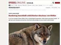 Bild zum Artikel: Gesetz verabschiedet: Bundestag beschließt erleichterten Abschuss von Wölfen