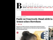 Bild zum Artikel: Panik vor Feuerwerk: Hund stirbt in den Armen seines Herrchens