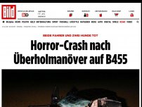 Bild zum Artikel: Beide Fahrer und zwei Hunde tot - Horror-Crash nach Überholmanöver auf B455