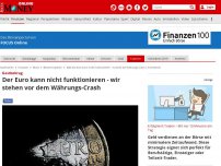 Bild zum Artikel: Gastbeitrag - Der Euro kann nicht funktionieren - wir stehen vor dem Währungs-Crash