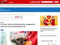 Bild zum Artikel: Berlin - Berlins traurigste Tiere: Wer gibt uns wieder Streichel-Einheiten?