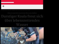 Bild zum Artikel: Rettung im heißen Australien