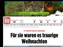 Bild zum Artikel: Im Tierheim Berlin abgegeben - Für sie waren es traurige Weihnachten