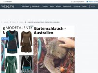 Bild zum Artikel: Koala trinkt aus Gartenschlauch - Mörder-Hitze in Australien