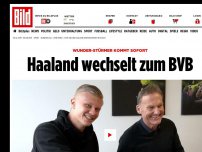 Bild zum Artikel: Wunder-Stürmer kommt sofort - Haaland wechselt zum BVB