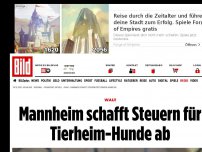 Bild zum Artikel: WAU! - Mannheim schafft Steuern für Tierheim-Hunde ab