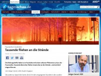 Bild zum Artikel: Feuerwolke in Australien: Tausende fliehen an die Strände