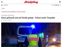 Bild zum Artikel: Vorfall bei Geretsried: Katze gefesselt und auf Straße gelegt - Polizei sucht Tierquäler