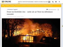 Bild zum Artikel: „Unfassbare Tragödie“: Feuer im Krefelder Zoo - alle Tiere im Affenhaus verendet