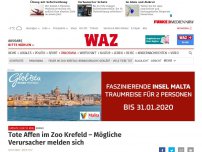 Bild zum Artikel: Brand: Feuer-Drama im Affenhaus im Krefelder Zoo – alle Tiere tot