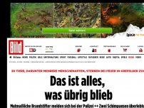 Bild zum Artikel: Brand im Zoo - Verdächtige melden sich nach Fahndungsaufruf