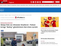 Bild zum Artikel: Höchststadt an der Aisch - Welpe floh vor Silvester-Knallerei - Polizei bringt 'Bailey' glücklichem Herrchen zurück