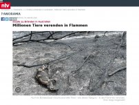 Bild zum Artikel: Studie zu Bränden in Australien: Millionen Tiere verenden in Flammen