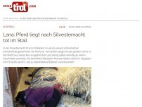 Bild zum Artikel: Lana: Pferd liegt nach Silvesternacht tot im Stall