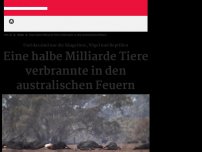 Bild zum Artikel: Eine halbe Milliarde Tiere verbrannte in den australischen Feuern