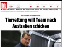 Bild zum Artikel: Einsatz bei Buschbränden - Tierrettung will Team nach Australien schicken