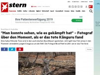 Bild zum Artikel: Buschfeuer in Australien : 'Man konnte sehen, wie es gekämpft hat' – Fotograf über den Moment, als er das tote Känguru fand