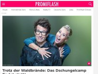 Bild zum Artikel: Trotz der Waldbrände: Das Dschungelcamp findet statt!