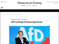 Bild zum Artikel: Geheimdienst: AfD verklagt Verfassungsschutz