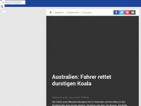 Bild zum Artikel: Brände in Australien: Fahrer rettet durstigen Koala