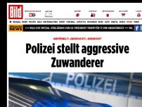 Bild zum Artikel: Gepöbelt, gespuckt, gedroht - Polizei stellt aggressive Zuwanderer