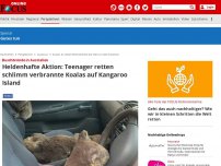Bild zum Artikel: Buschbrände in Australien - Heldenhafte Aktion: Teenager retten schlimm verbrannte Koalas auf Kangaroo Island