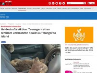 Bild zum Artikel: Buschbrände in Australien  - Heldenhafte Aktion: Teenager retten schlimm verbrannte Koalas auf Kangaroo Island