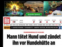 Bild zum Artikel: Feuerwehreinsatz in Bilsen - Mann tötet Hund und zündet ihn vor Hundehütte an