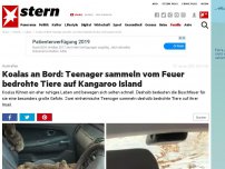 Bild zum Artikel: Australien: Koalas an Bord: Teenager sammeln vom Feuer bedrohte Tiere auf Kangaroo Island