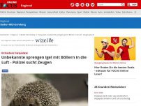 Bild zum Artikel: Ehingen (Donau) - Ehingen: Igel in Skate-Park mit Böllern gesprengt - Wer tut so etwas?