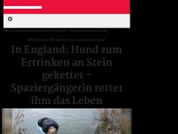 Bild zum Artikel: Rettung in letzter Sekunde