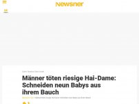 Bild zum Artikel: Männer töten riesige Hai-Dame: Schneiden neun Babys aus ihrem Bauch