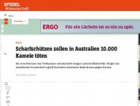 Bild zum Artikel: Australien: Scharfschützen sollen wegen Dürre 10.000 Kamele töten