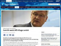 Bild zum Artikel: AfD-Spendenaffäre: Gericht weist Klage gegen Bußgeld zurück