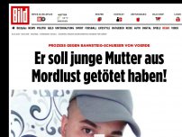 Bild zum Artikel: Bahnsteig-Schubser vor Gericht - Er soll junge Mutter aus Mordlust getötet haben!